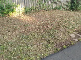 Weeding by Andrae Gulley for Lorenzo D. in Cincinnati, OH