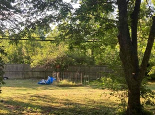 Cleanups by Emma Perales for Nicole H. in Fort Worth, TX