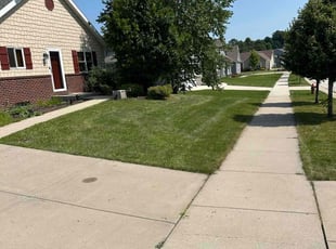 Brittany L.'s Lawn Mowing service result