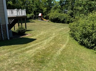 Julie H.'s Lawn Mowing service result