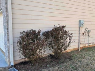 Bush Trimming by Darian Blackwell for Allison B. in Fairburn, GA