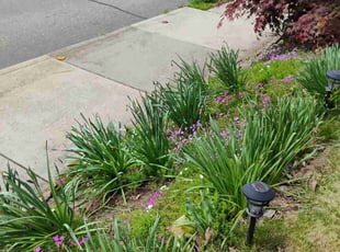 Weeding by Erik Hurley for Jarrod K. in Washington, PA