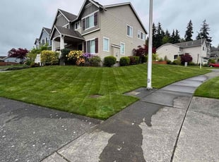 Bush Trimming by Lawerence White for Jack P. in Federal Way, WA