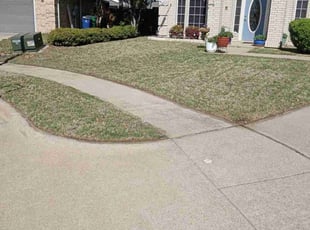 Elizabeth I.'s Yard Cutting service result