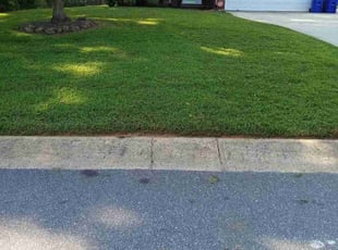 Anita K.'s Lawn Mowing Service service result