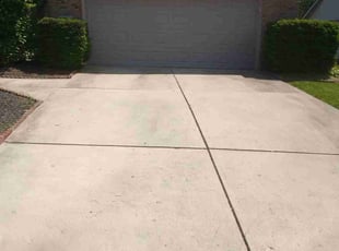 Bush Trimming by Lovoyd Woodruff for Laura C. in Englewood, OH