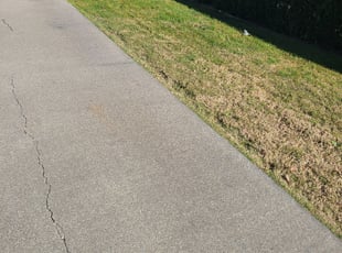 Leaf Removal by Juan Rodriguez for James B. in Sacramento, CA