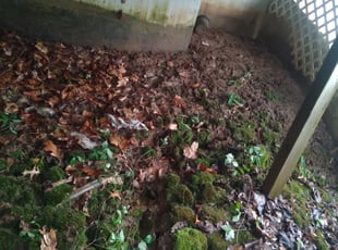 Cleanups by Julio Almestica for Kathy M. in Independence, MO