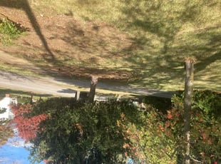 Leaf Removal by Joel Laumas for Victor A. in Lexington, KY