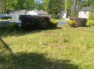 Bush Trimming by Jennifer Lewis for Tom S. in Spartanburg, SC