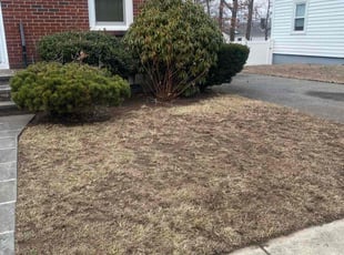 Cleanups by Andrew Ventre for Giuliana B. in Boston, MA