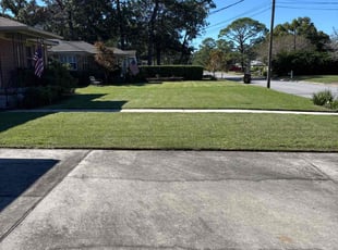 Jennifer H.'s Yard Cutting service result