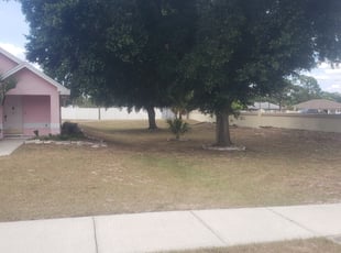 Weeding by Yohan Torres for Julie S. in Auburndale, FL