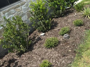 Gregory R.'s Flower Bed Weeding service result