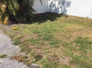 Cleanups by Stephen Peffly for Bethany K. in St. Petersburg, FL