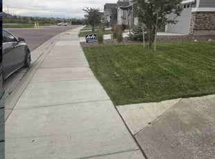 Weeding by Norman Cabell for Anjum a. in Aurora, CO