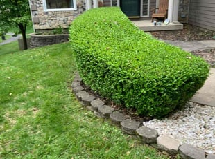 Bush Trimming by Justin Daniel for Robert R. in Kansas City, MO
