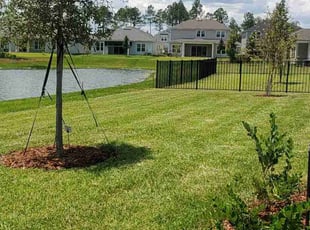 Mai D.'s Lawn Mowing service result