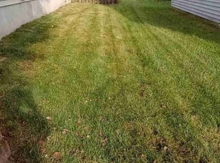 Ron S.'s Yard Cutting service result
