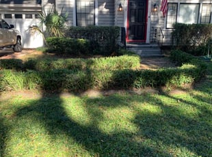 Bush Trimming by Hector Mieles for Thomas K. in Orlando, FL