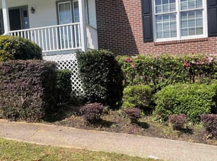 Bush Trimming by Amber Wright for Cory R. in McDonough, GA