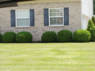 Bush Trimming by Ryan Haddix for Brynn P. in Deerfield Township, OH
