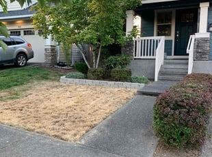 Bush Trimming by J DeRosier for Hal M. in Bonney Lake, WA