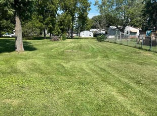 Natasha H.'s Lawn Service service result