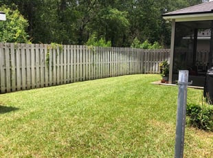 Namit S.'s Lawn Care service result