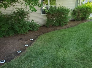 Cleanups by Henry Steinke for Shakir S. in South Elgin, IL