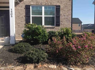 Bush Trimming by Tim Hayes for Kristi P. in Stockbridge, GA