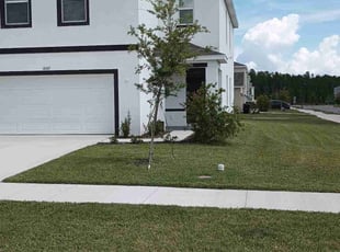 Pete M.'s Lawn Service service result
