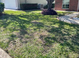 Leaf Removal by Devin Jones for Grace H. in Jacksonville, FL