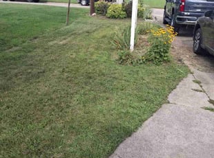 Brian L.'s Lawn Service service result