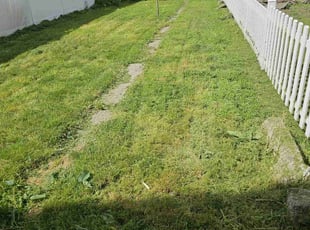 Jack B.'s Lawn Service service result