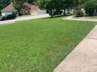 Anthony W.'s Yard Cutting service result