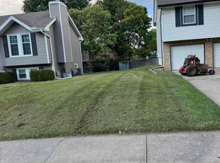 Eva S.'s Grass Cutting service result