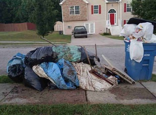 Tameki M.'s Cleanups service result