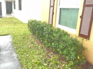 Bush Trimming by Reynald Andre for Sanjay T. in Sunrise, FL