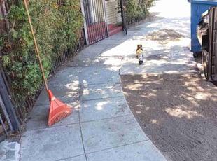 Cleanups by Jose Martinez for Blake J. in Los Angeles, CA