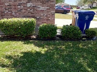 Bush Trimming by Melecio Rivera for Jason L. in Corpus Christi, TX