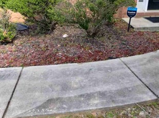 Weeding by Lacie Moore for Jahmal G. in Snellville, GA