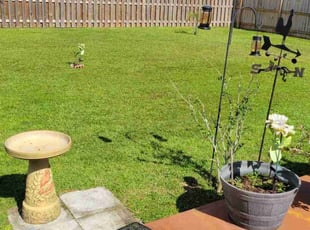 Christi R.'s Lawn Mowing service result
