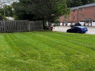 Diane J.'s Lawn Care service result