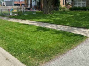 ishanu c.'s Lawn Service service result