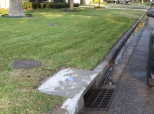 Leaf Removal by Daniel Campos for Kris K. in Bellaire, TX