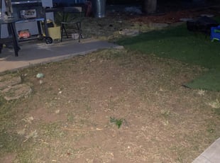 Weeding by Earl Miller for Joshua H. in San Diego, CA