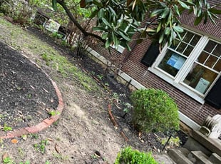 Leaf Removal by Kasandra Velasco for Adam T. in Louisville, KY