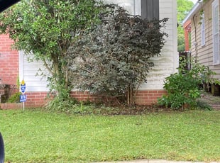 Bush Trimming by Travis Robinson for Sydney C. in Baton Rouge, LA