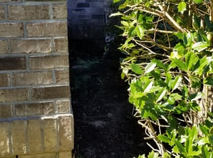 Bush Trimming by Tristan Heemer for Micheal H. in Summerville, SC